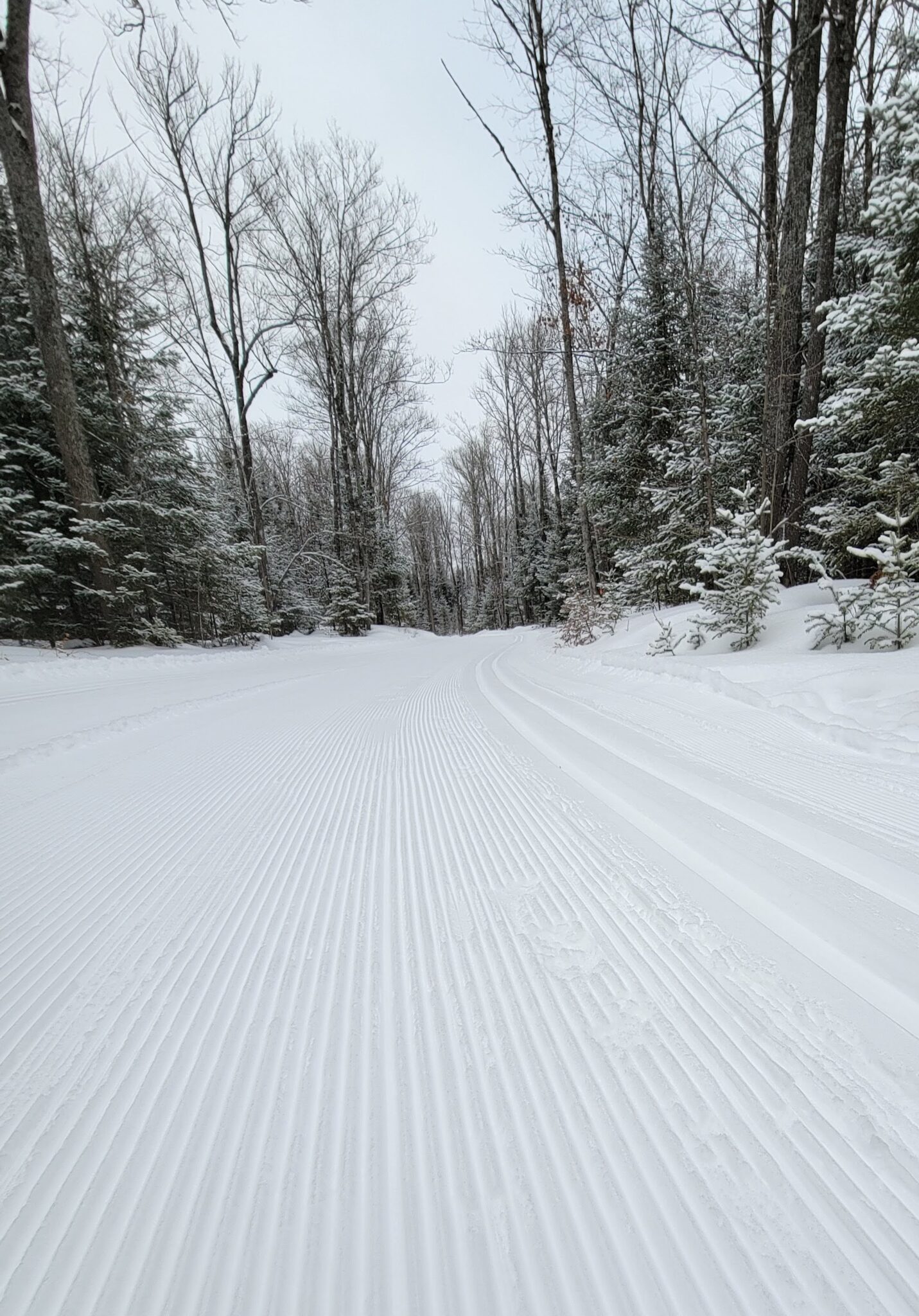 Mountain Biking, Hiking, XC Skiing WinMan Trails, Manitowish Waters WI